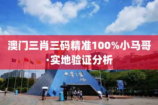澳门三肖三码精准100%小马哥·实地验证分析