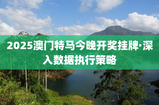 2025澳门特马今晚开奖挂牌·深入数据执行策略