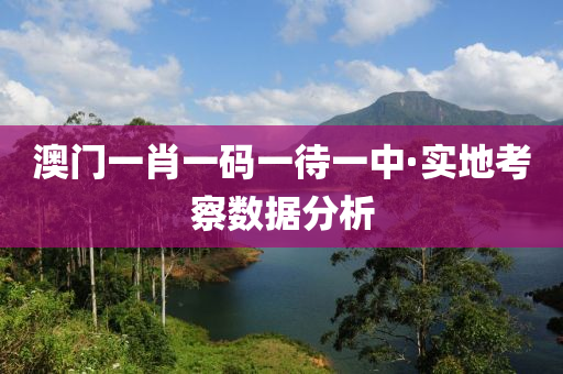 澳门一肖一码一待一中·实地考察数据分析