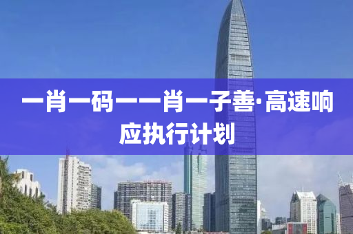 一肖一码一一肖一子善·高速响应执行计划