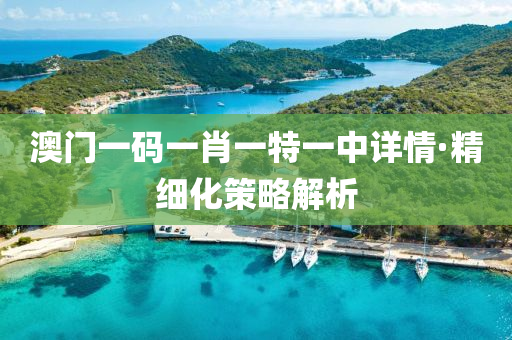 澳门一码一肖一特一中详情·精细化策略解析