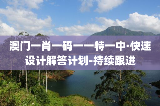 澳门一肖一码一一特一中·快速设计解答计划-持续跟进