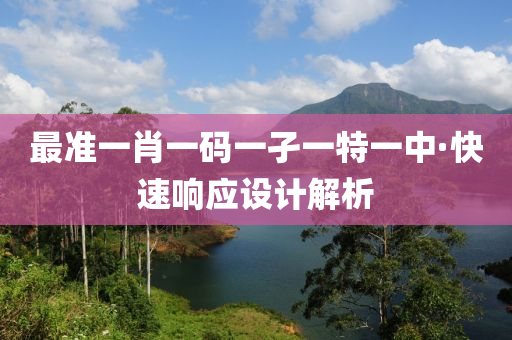 最准一肖一码一孑一特一中·快速响应设计解析
