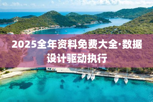 2025全年资料免费大全·数据设计驱动执行