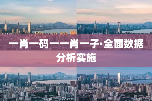 一肖一码一一肖一子·全面数据分析实施
