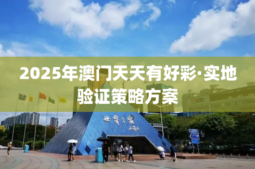 2025年澳门天天有好彩·实地验证策略方案