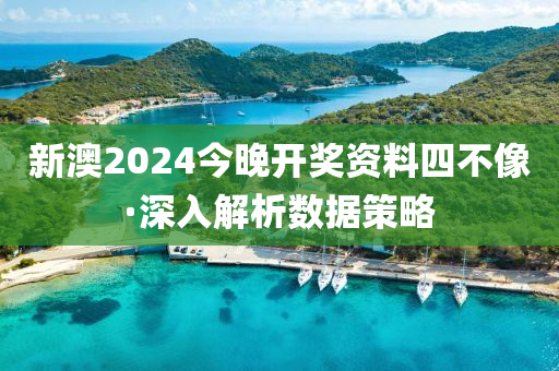 新澳2024今晚开奖资料四不像·深入解析数据策略
