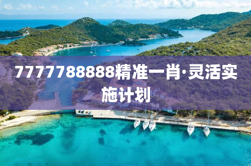 7777788888精准一肖·灵活实施计划