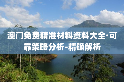 澳门免费精准材料资料大全·可靠策略分析