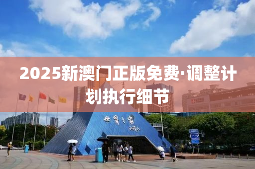 2025新澳门正版免费·调整计划执行细节