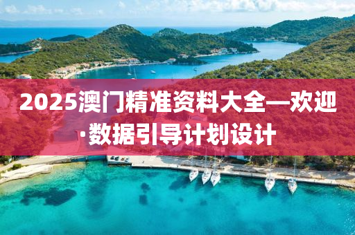 2025澳门精准资料大全—欢迎·数据引导计划设计