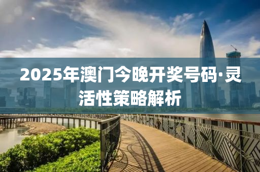 2025年澳门今晚开奖号码·灵活性策略解析