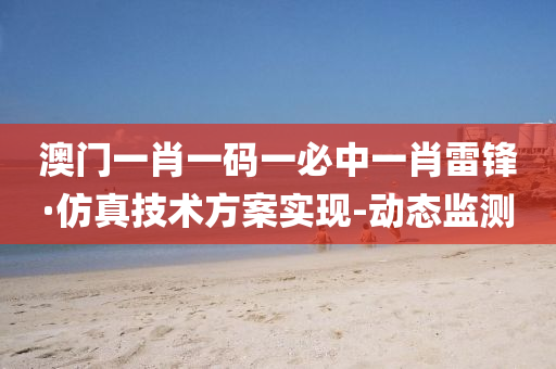 澳门一肖一码一必中一肖雷锋·仿真技术方案实现-动态监测