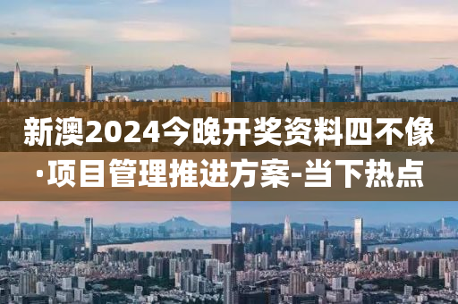 新澳2024今晚开奖资料四不像·项目管理推进方案-当下热点