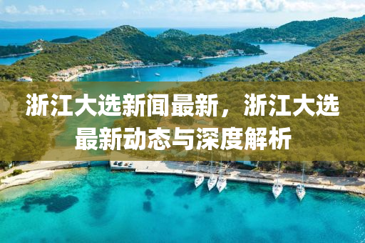 浙江大选新闻最新，浙江大选最新动态与深度解析