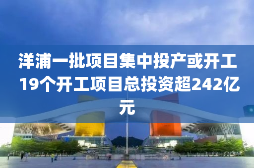洋浦一批项目集中投产或开工 19个开工项目总投资超242亿元