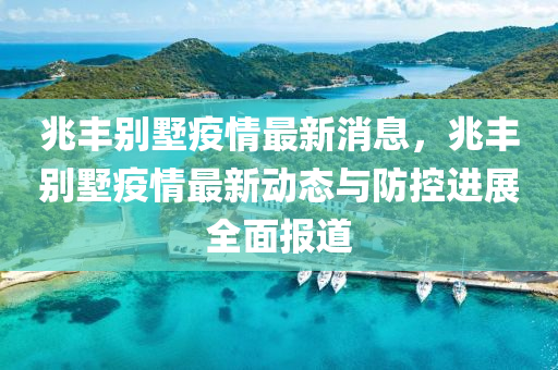 兆丰别墅疫情最新消息，兆丰别墅疫情最新动态与防控进展全面报道