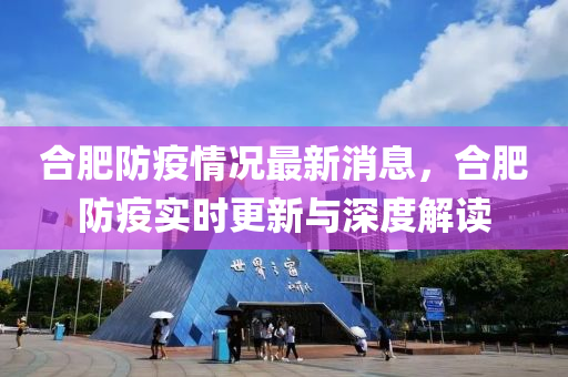 合肥防疫情况最新消息，合肥防疫实时更新与深度解读