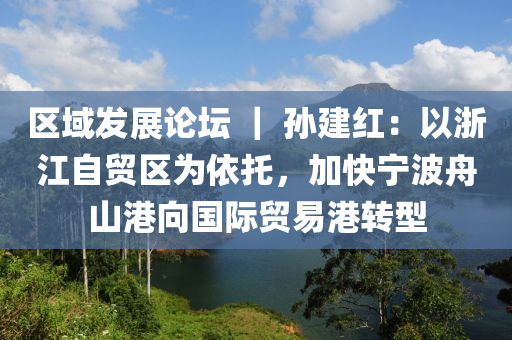 区域发展论坛 ｜ 孙建红：以浙江自贸区为依托，加快宁波舟山港向国际贸易港转型