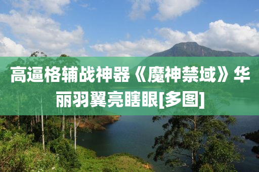 高逼格辅战神器《魔神禁域》华丽羽翼亮瞎眼[多图]