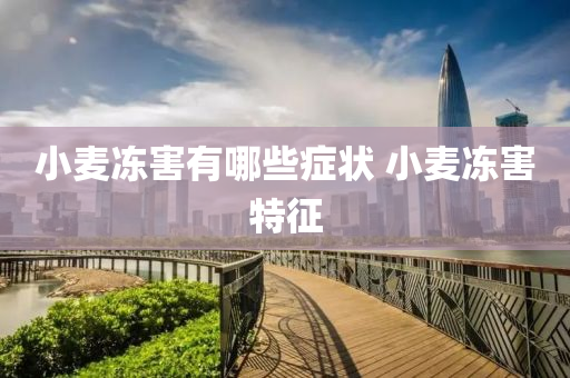 小麦冻害有哪些症状 小麦冻害特征