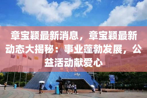 章宝颖最新消息，章宝颖最新动态大揭秘：事业蓬勃发展，公益活动献爱心
