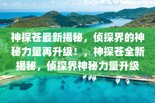 神探苍最新揭秘，侦探界的神秘力量再升级！，神探苍全新揭秘，侦探界神秘力量升级