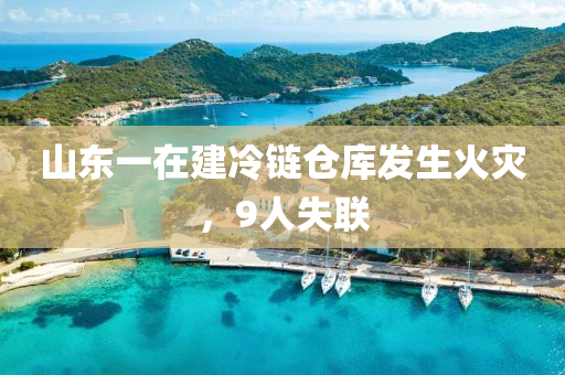 山东一在建冷链仓库发生火灾，9人失联