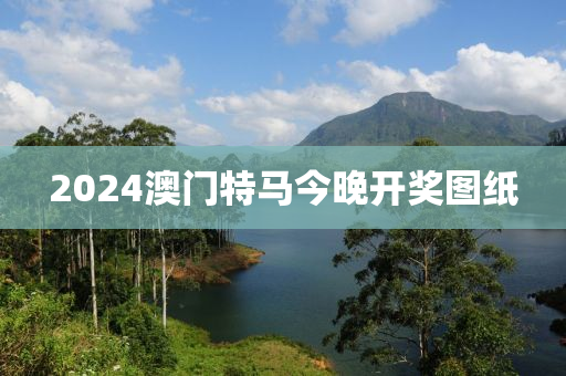 2024澳门特马今晚开奖图纸