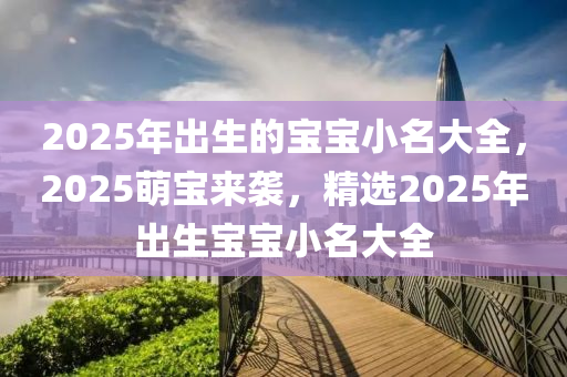 2025年出生的宝宝小名大全，2025萌宝来袭，精选2025年出生宝宝小名大全