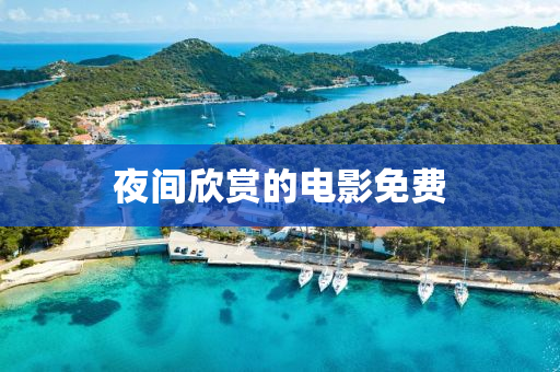 nieruihai 第8页