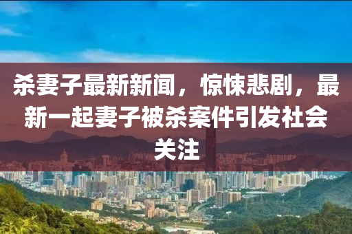 杀妻子最新新闻，惊悚悲剧，最新一起妻子被杀案件引发社会关注