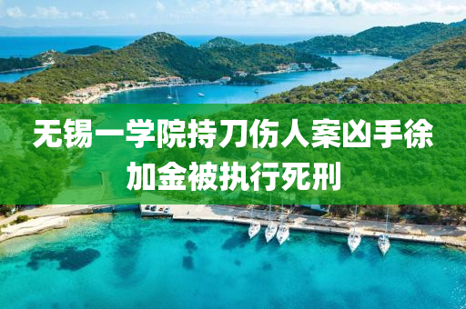 无锡一学院持刀伤人案凶手徐加金被执行死刑