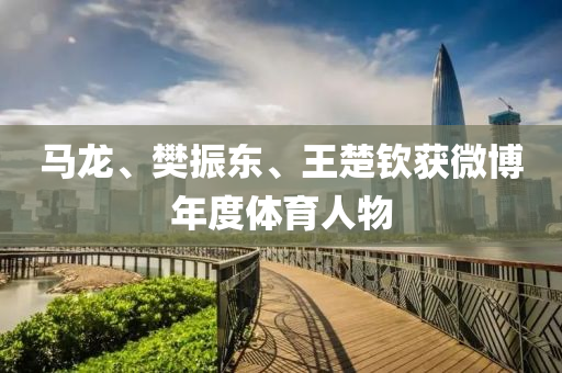 马龙、樊振东、王楚钦获微博年度体育人物