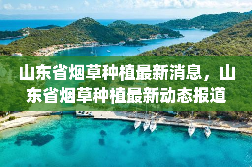 山东省烟草种植最新消息，山东省烟草种植最新动态报道