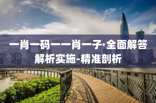 一肖一码一一肖一子·全面解答解析实施-精准剖析