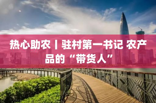 热心助农丨驻村第一书记 农产品的“带货人”