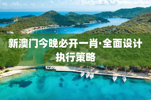 新澳门今晚必开一肖·全面设计执行策略