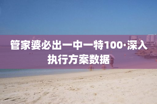 管家婆必出一中一特100·深入执行方案数据