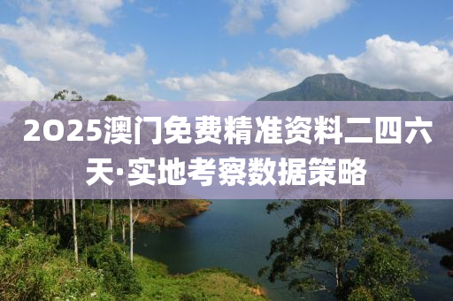 2O25澳门免费精准资料二四六天·实地考察数据策略