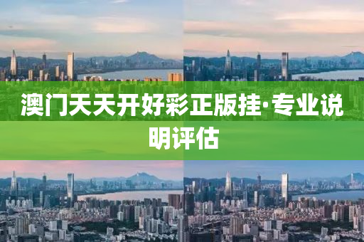 澳门天天开好彩正版挂·专业说明评估