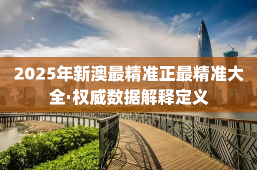 2025年新澳最精准正最精准大全·权威数据解释定义