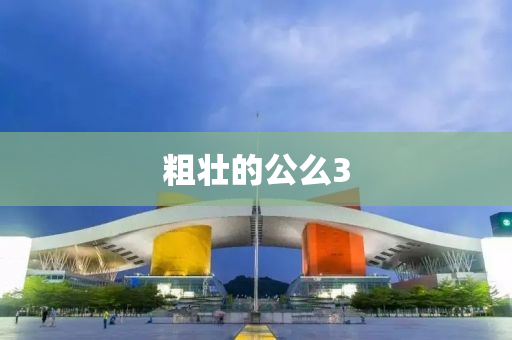 粗壮的公么3
