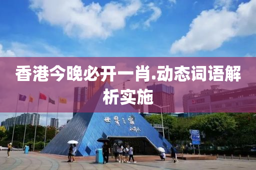 香港今晚必开一肖.动态词语解析实施