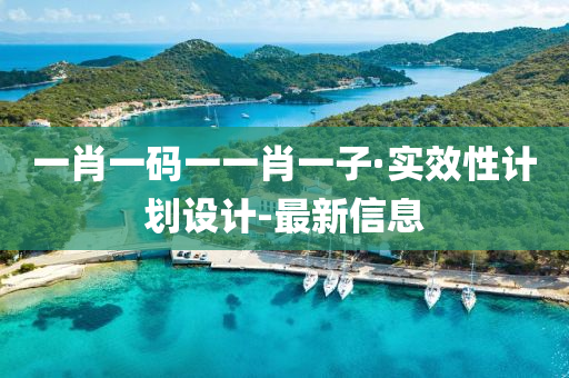 一肖一码一一肖一子·实效性计划设计-最新信息