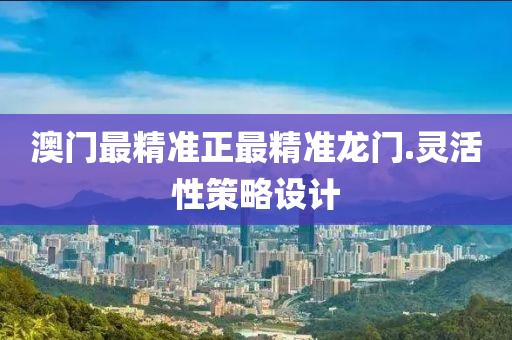 澳门最精准正最精准龙门.灵活性策略设计