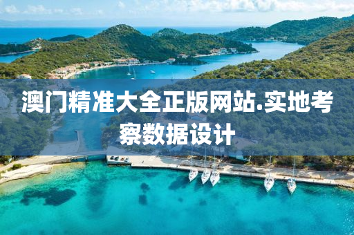 澳门精准大全正版网站.实地考察数据设计