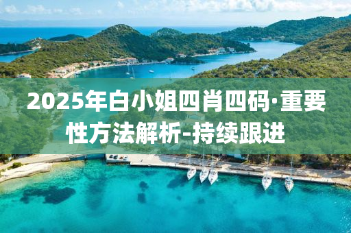 2025年白小姐四肖四码·重要性方法解析-持续跟进