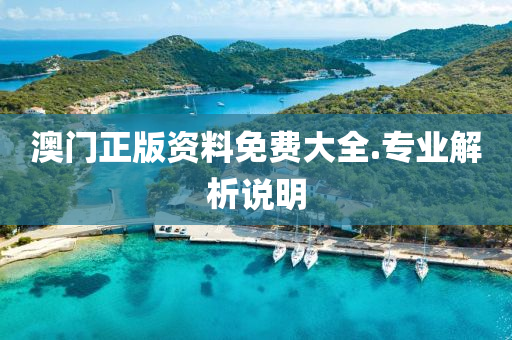 澳门正版资料免费大全.专业解析说明