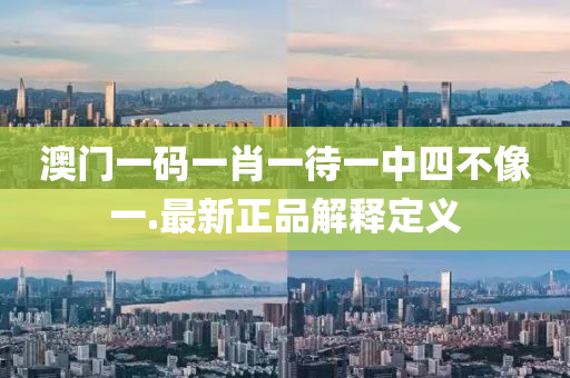 澳门一码一肖一待一中四不像一.最新正品解释定义